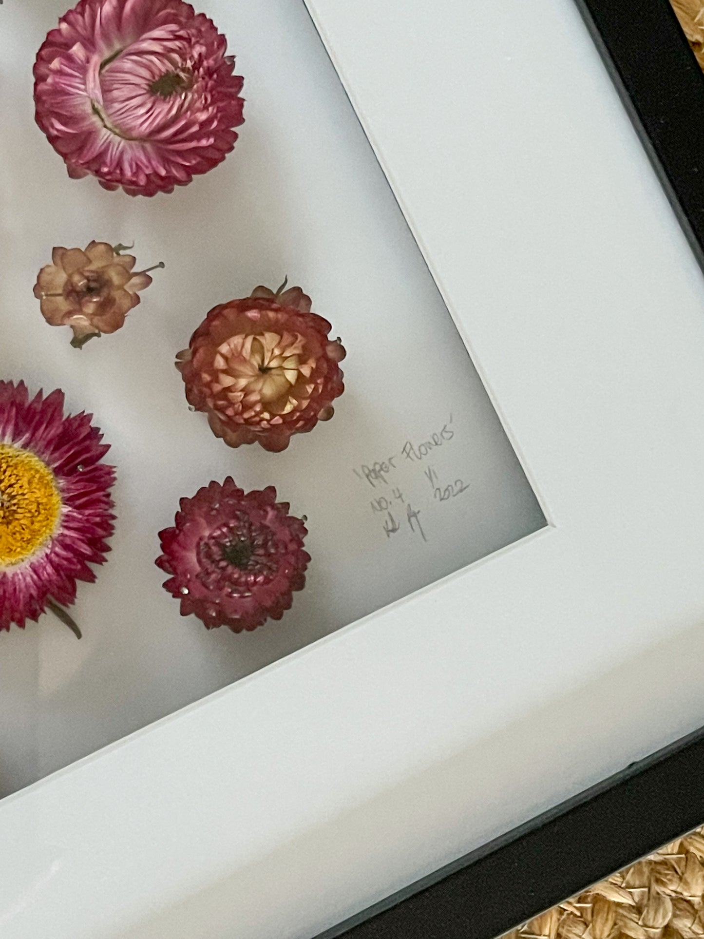 Paper Flowers No.4