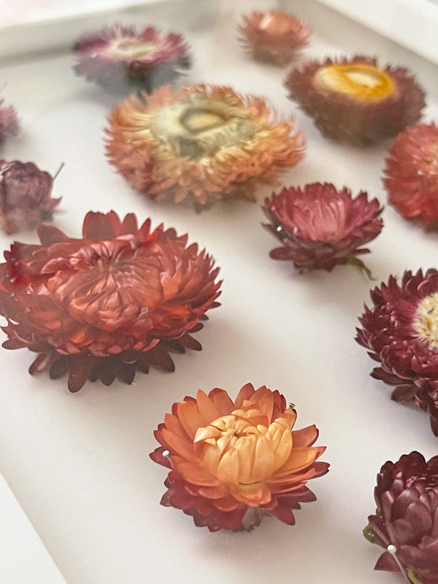 Paper Flowers No.3