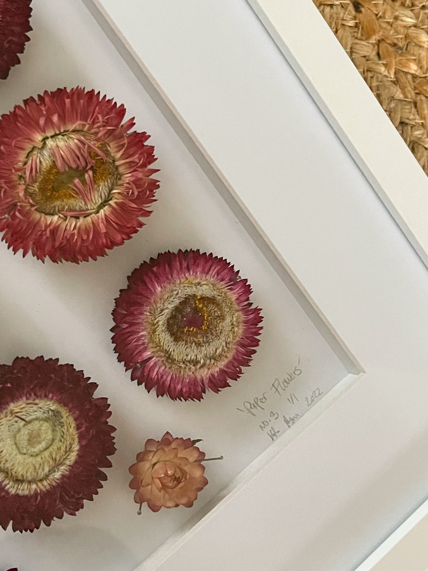 Paper Flowers No.3