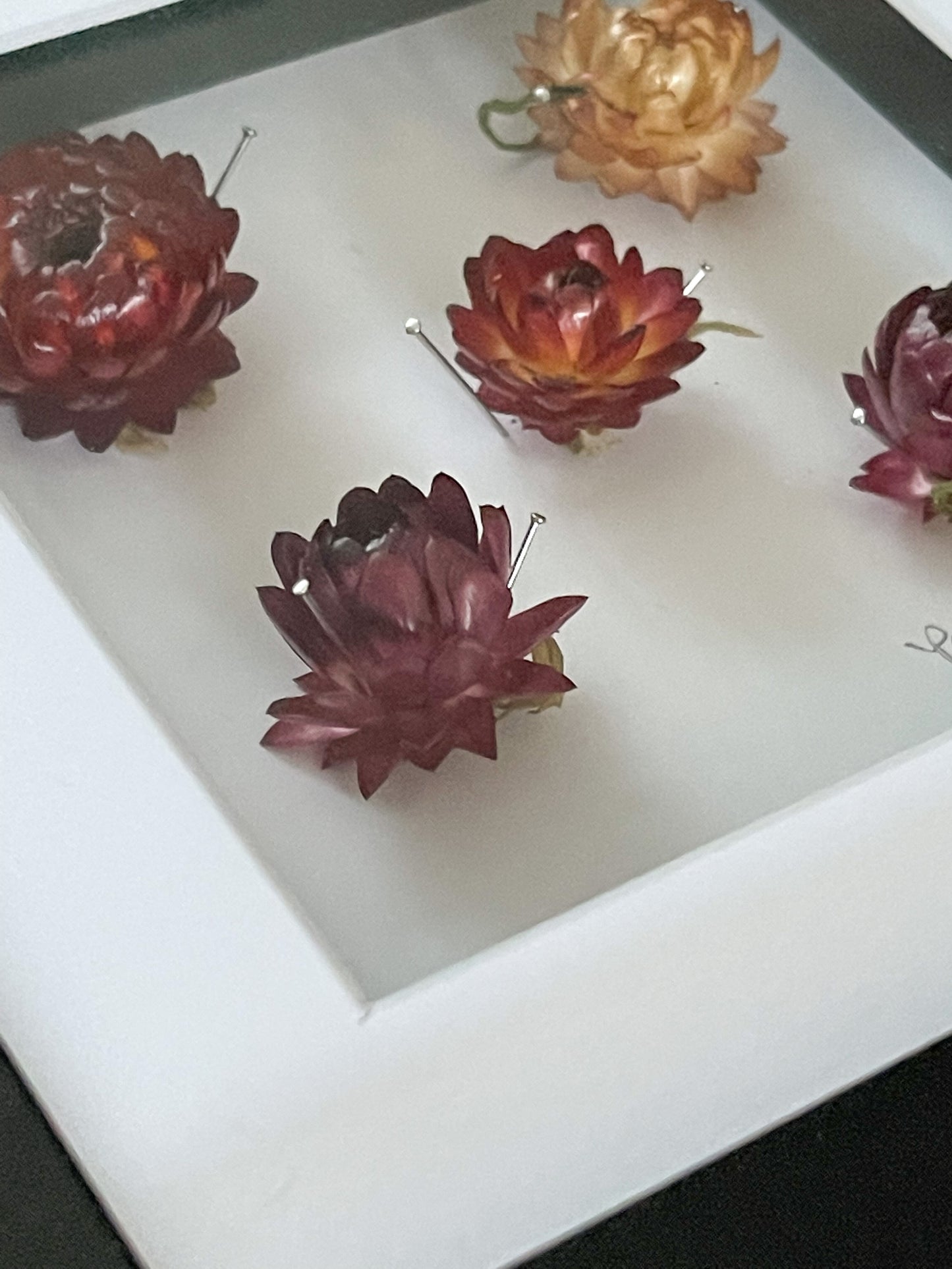 Paper Flowers No.2