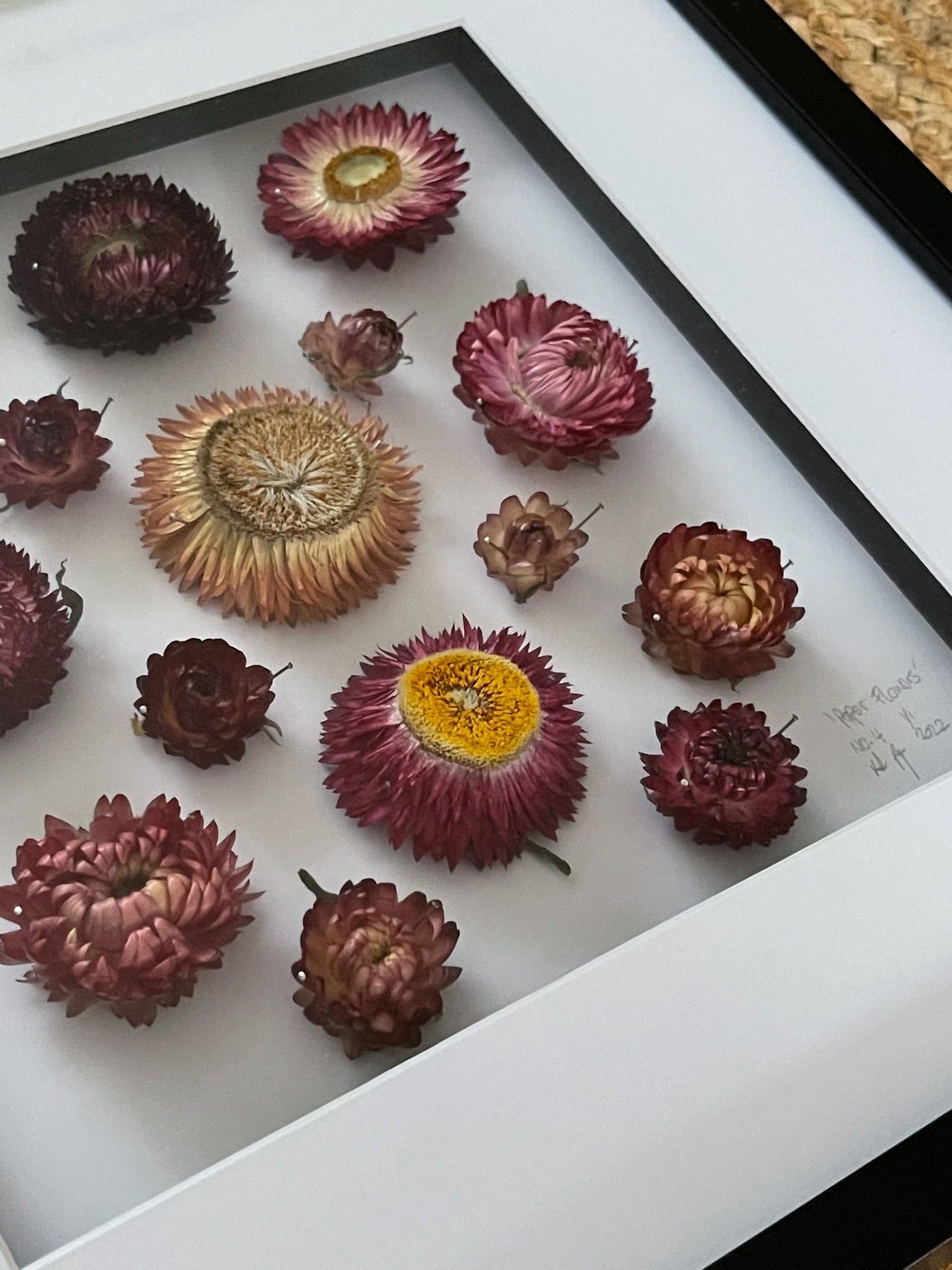 Paper Flowers No.4