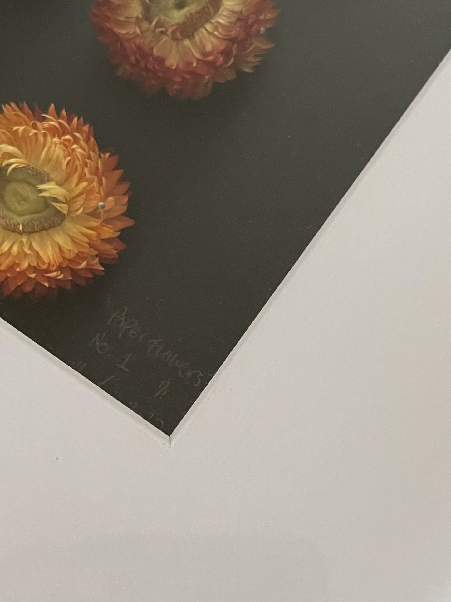 Paper Flowers No.1